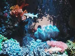 -中国湿地博物馆