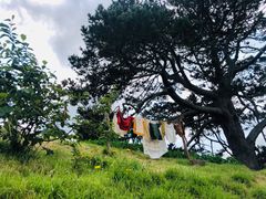-霍比特人村