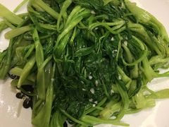 -沙龙酒家