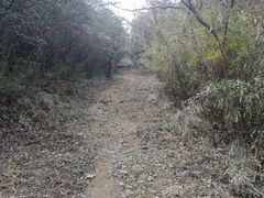 -杭州半山国家森林公园