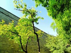 -西安城墙·碑林历史文化景区