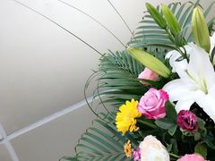 -ChaKo Flora ·茶子花艺 (市北店)