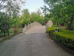 -塘沽森林公园