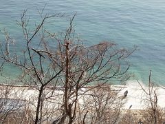 -金沙滩度假村