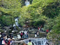-石台牯牛降景区