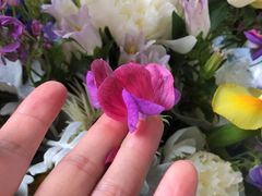 -植物学家的女儿(北马道巷店)