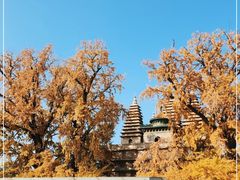 -北京石刻艺术博物馆(五塔寺)