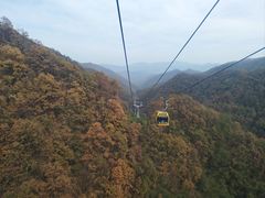 -栾川竹海野生动物园