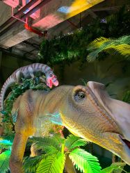 -恐龙探索乐园(磁器口店)