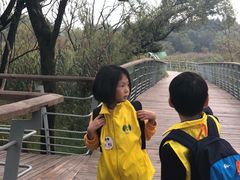 -西湖风景区-江洋畈生态公园