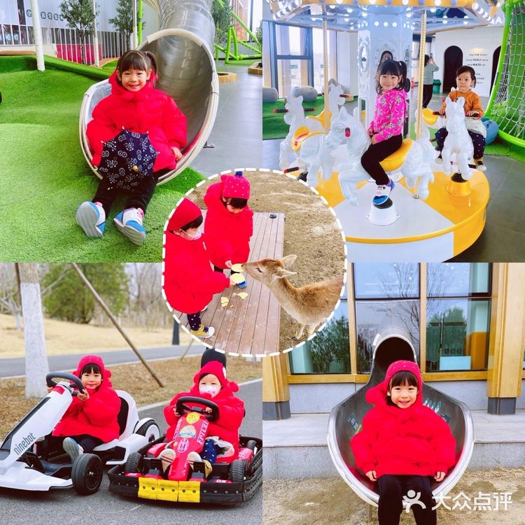 北京遛娃 |森林奇趣乐园🦌与小鹿一起奔跑