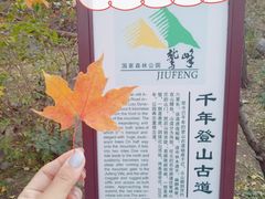 -北京鹫峰国家森林公园