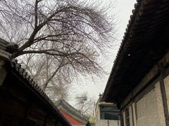 -嵩祝寺及智珠寺