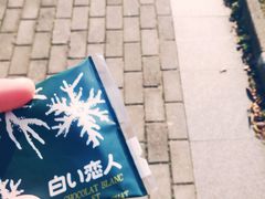 -东南大学(九龙湖校区)