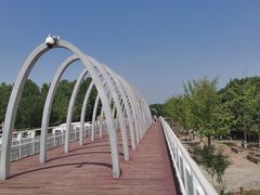 -大兴滨河森林公园