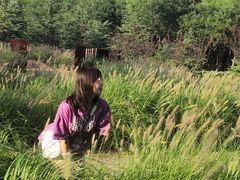 -东郊湿地公园