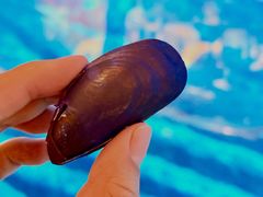 -亚特兰蒂斯•OSSIANO奥西亚诺海底餐厅