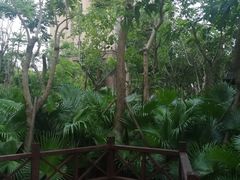 -特房·山水新座