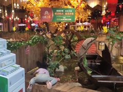 -老滇山寨•云南特色菜•地方菜•民族风情歌舞表演(金碧店)