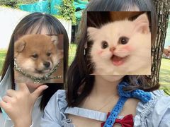 -东湖小天池真人CS彩弹野战基地