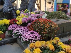 -小河直街历史文化街区