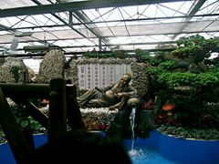 -兰陵国家农业公园