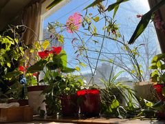 -云之南(八里庄店)