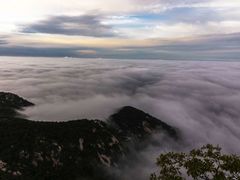 -鲁山国家森林公园