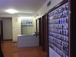 -维纳斯专业减肥