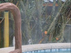 -纽斯洗浴SPA(三墩店)