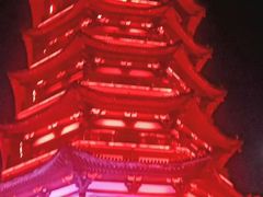 -洋湖国家湿地公园