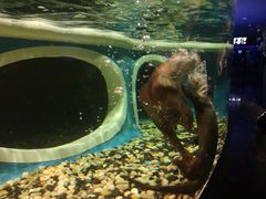 -成都浩海立方海洋公园