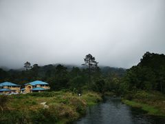 -海南热带雨林国家公园吊罗山景区