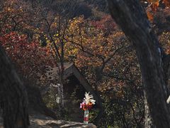 -周口店坡峰岭风景区