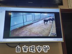 -李春秋驴肉火烧总店