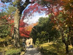 -常寂光寺