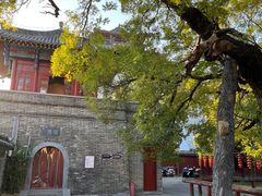 -洛阳周公庙博物馆