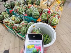 -东莞君尚