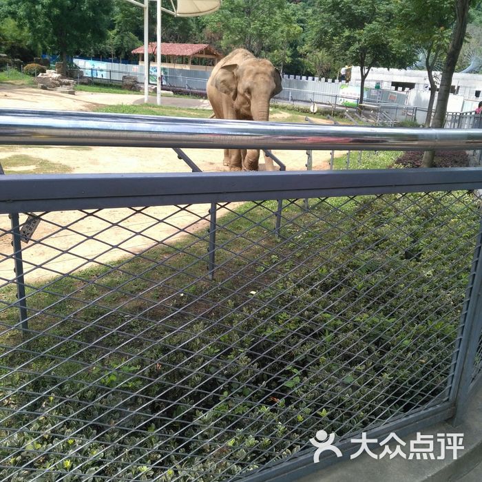 無錫動物園·太湖歡樂園