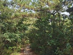 -西尖山公园