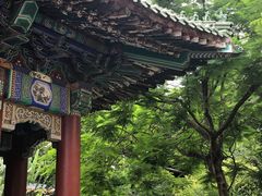 -珠海圆明新园