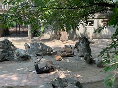 -成都动物园