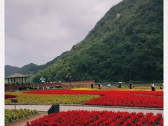 -广州市石门国家森林公园