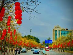 -洲头咀公园