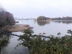 -长广溪湿地公园