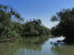 -大湾区中央湿地公园