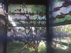 -水绘园