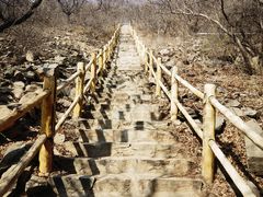 -北京西山国家森林公园