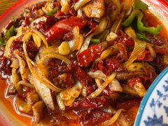 -柴窝堡22号辣子鸡·传承新疆菜