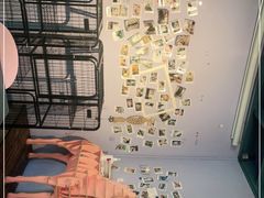 -喵屿·大理花园猫咖